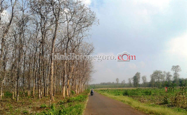 Puncak Kemarau Diperkirakan Juni Hingga Oktober