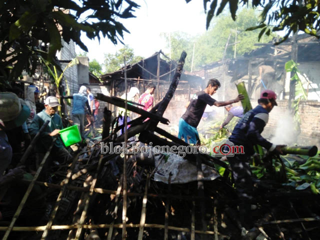 Akibat Tungku Masak, 4 Rumah di Palembon Hangus Terbakar
