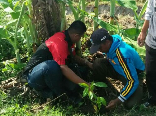 Oi Dendam Damai Tanam Pohon di Desa Sekaran