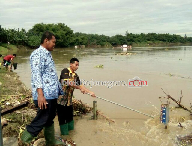 Awas! TMA Bojonegoro Masuk Siaga Hijau