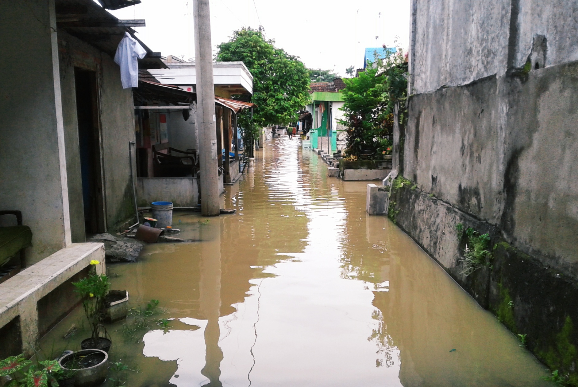 Bengawan Meluap, Ledok Wetan Lagi-lagi Kebanjiran