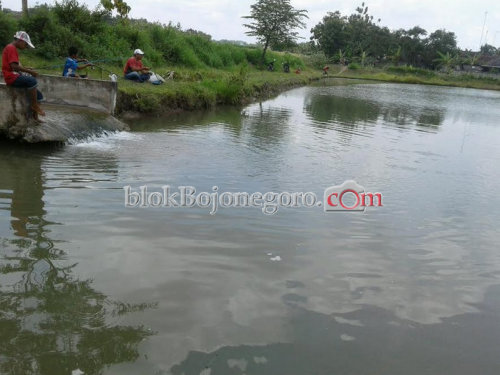 Di Cancung, Ada Wahana Kolam Pancing Gratis