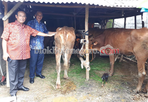 Gandeng BPPT, SW. Yudha Berikan Dukungan Teknologi Peternakan