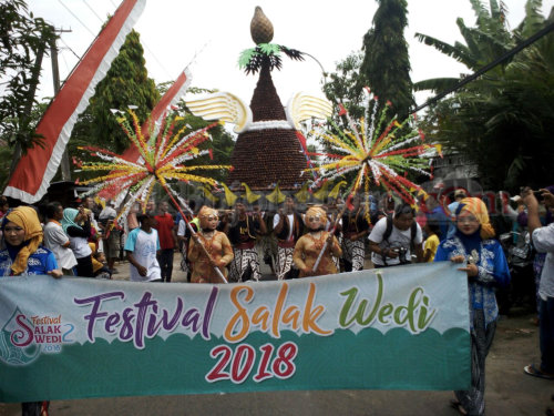 50 Ribu Salak Wedi Disediakan Gratis untuk Pengunjung