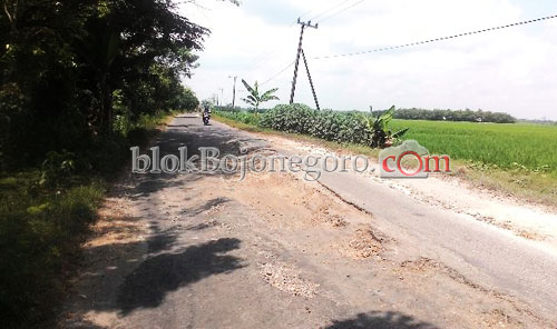 Jalan Penghubung Sumberrejo-Kedungadem Rusak Parah