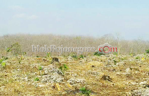 Kemarau, 15 Kecamatan ini Berpotensi Kekeringan