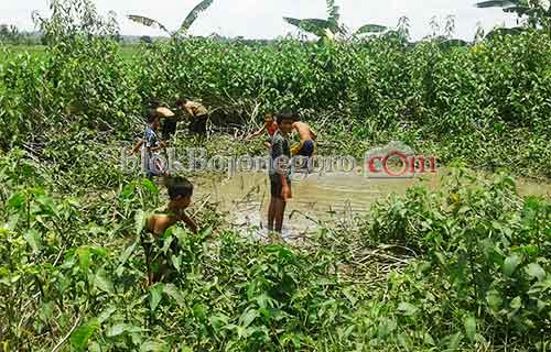 Serunya Berburu Ikan Ala Anak-anak Dusun Gempol