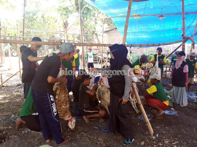 Dompet Dhuafa Sembelih 100 Kambing di Sarangan