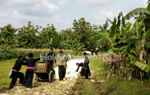 Kompak, Siswa PSHT Bubulan Kerja Bakti Bangun Jalan