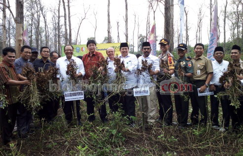 Puspa Yoga: Keuntungan Petani Kacang Berlipat-Lipat