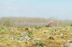 Bulan ini Diperkirakan Kemarau Landa Bojonegoro