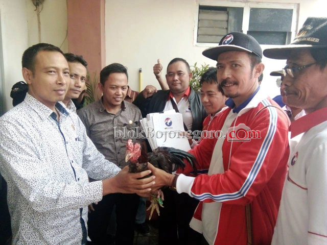 Daftar Bawa Ayam Jago, Perindo Siap Bertarung