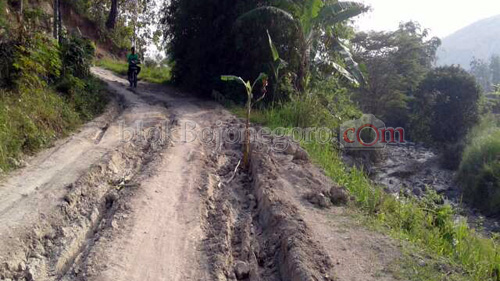 Jalan Penghubung Desa Rusak, Warga Tanami Pisang