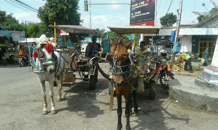 Zaman Modern, Warga Dander Tetap Pertahankan Delman
