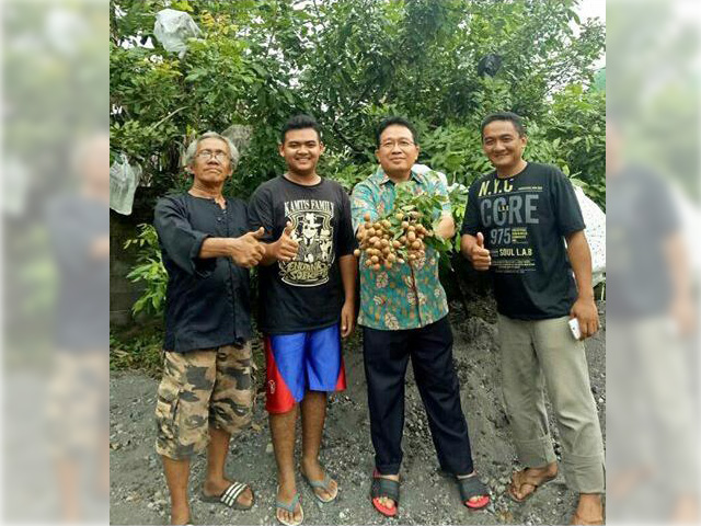 Kades Pajeng Manfaatkan Perkarangan Ditanami Kelengkeng