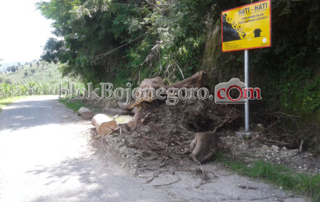 Awas! Jalan PUK Sekar Rawan Longsor Saat Hujan