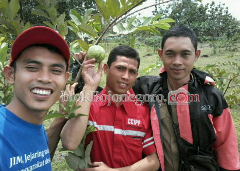 Kartar Brabowan Tanam Jambu Kristal di Lahan SKK Migas