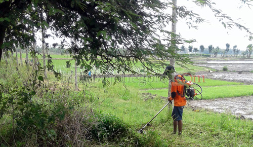 Dinas PU Sumber Daya Air Dander Bersihkan Irigasi