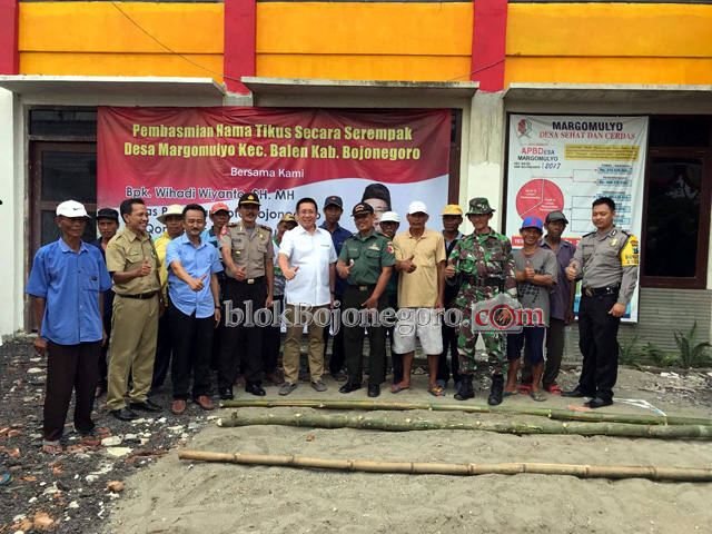 Wihadi Ikut Basmi Tikus di Balen