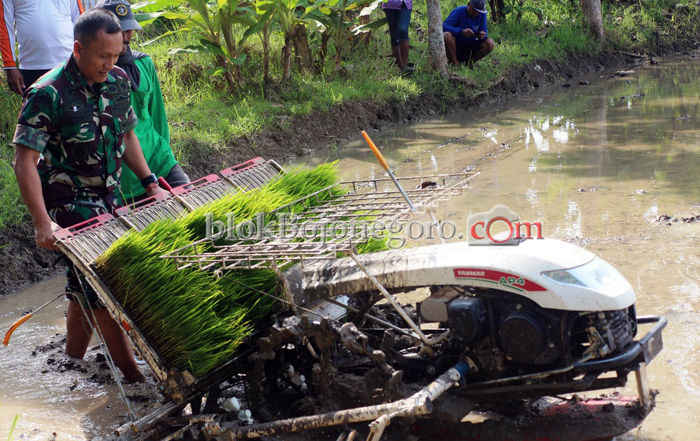Dandim 0813 Mencoba Transplanter untuk Menanam Padi
