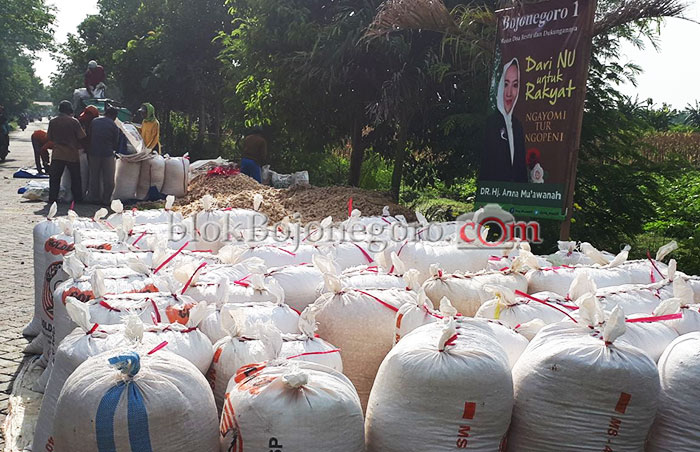 Petani Mulai Nikmati Panen Jagung
