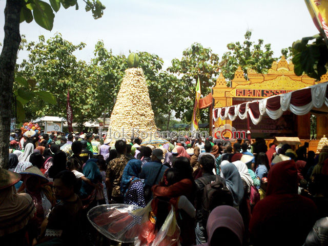 Gunungan Belimbing Setinggi 6 Meter 