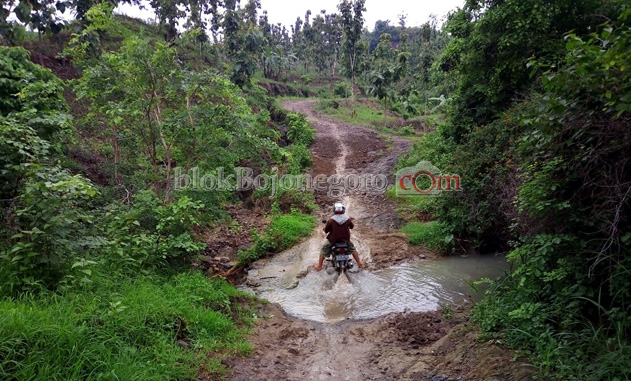 Jalan di Desa Deling Mirip Jalan Kerbau