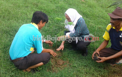 Peduli Lingkungan, Bu Anna Tanam Pohon di Pucangarum