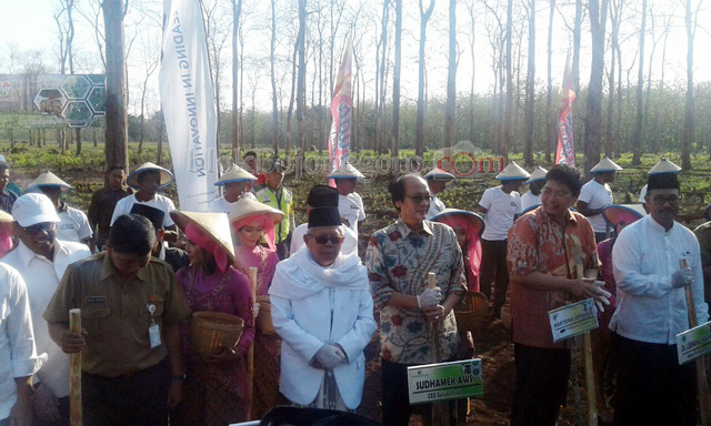 Menanam Bersama Ketua MUI dan Kepala Staf Kepresidenan