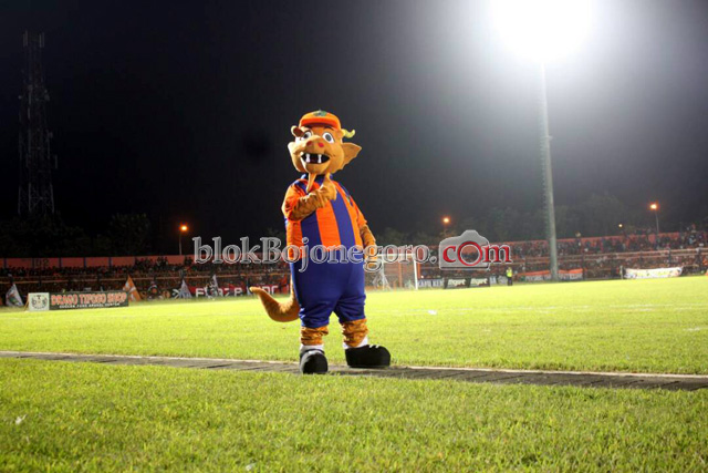 Saga, Maskot Penyemangat Persibo